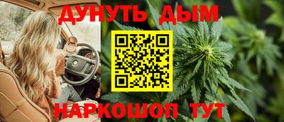 МДПВ Гатчина