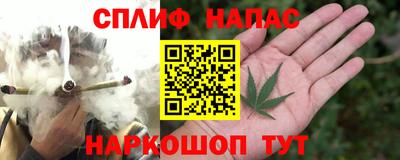 МДПВ Гатчина