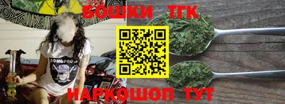 МДПВ Гатчина